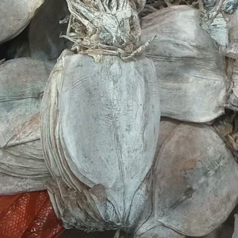 鱿鱼干水发淡干鱿鱼干