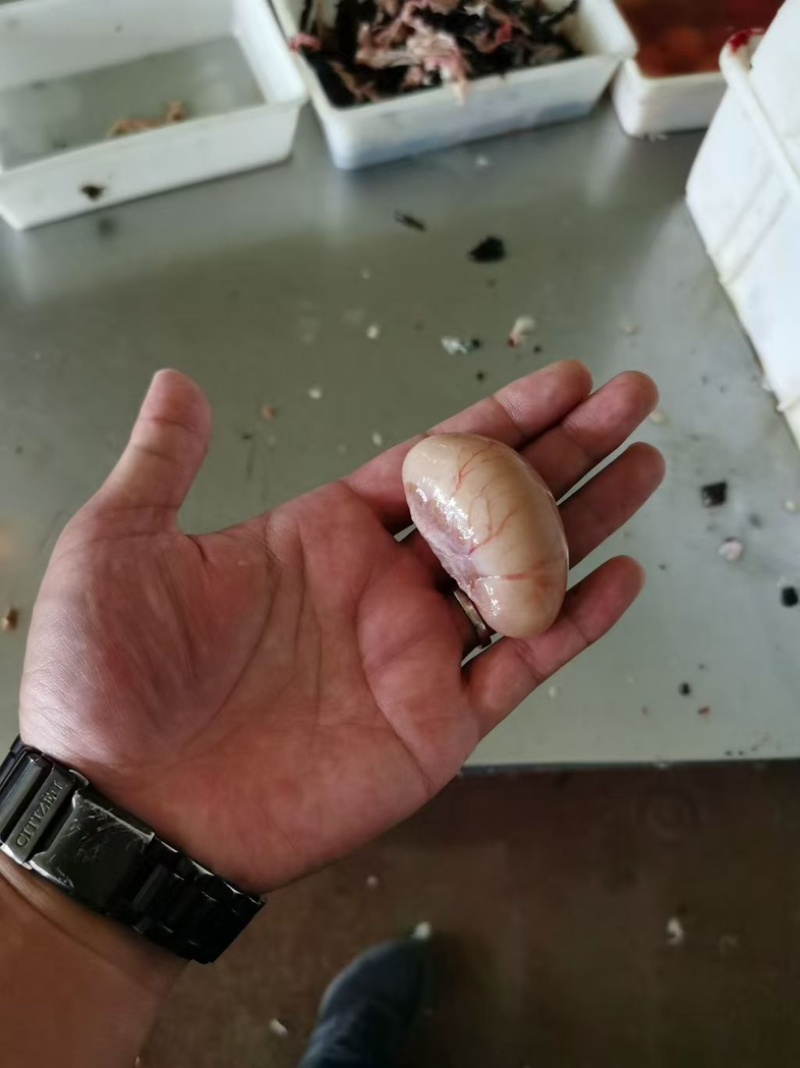 鸭腰1*10小包装箱装高品质干货超低价