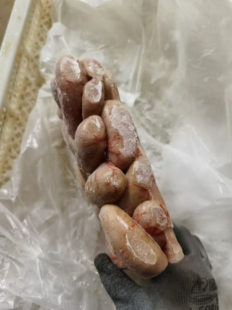 鸭腰1*10小包装箱装高品质干货超低价