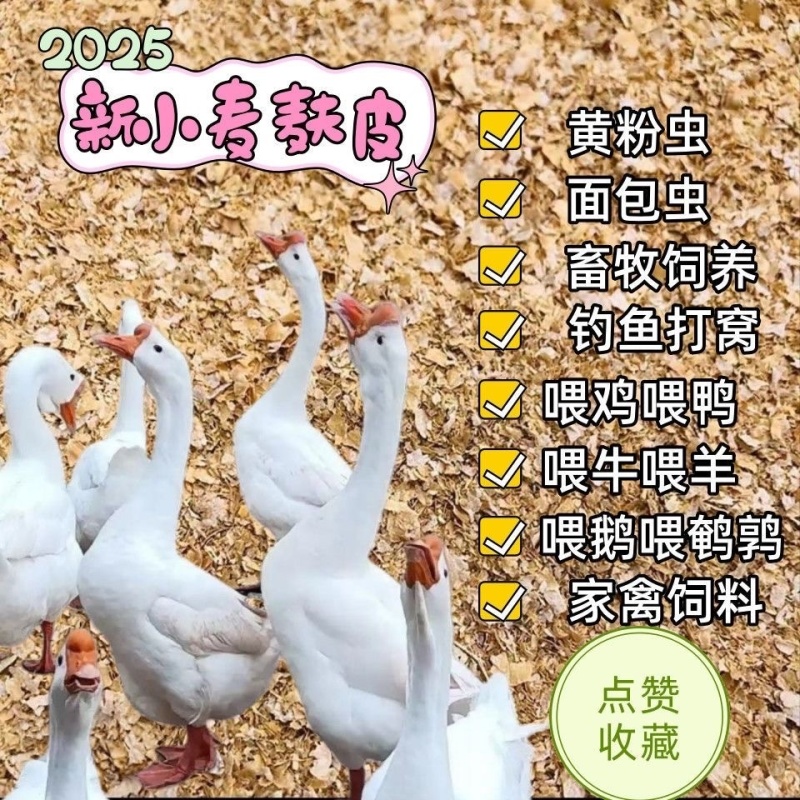 《超过5千人好评》麦麸麸皮饲料粗细均匀养殖鸡鸭鹅猪