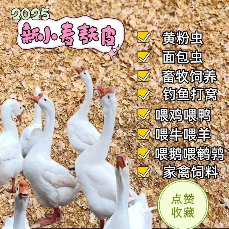 《超过5千人好评》麦麸麸皮饲料粗细均匀养殖鸡鸭鹅猪