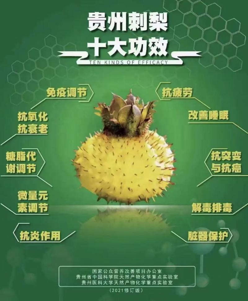 贵州刺梨树苗贵农5号刺梨果苗龙里刺梨苗苗木
