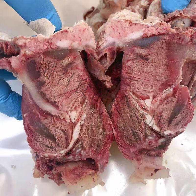 牛腮肉牛脸腩草须精修去油可定制
