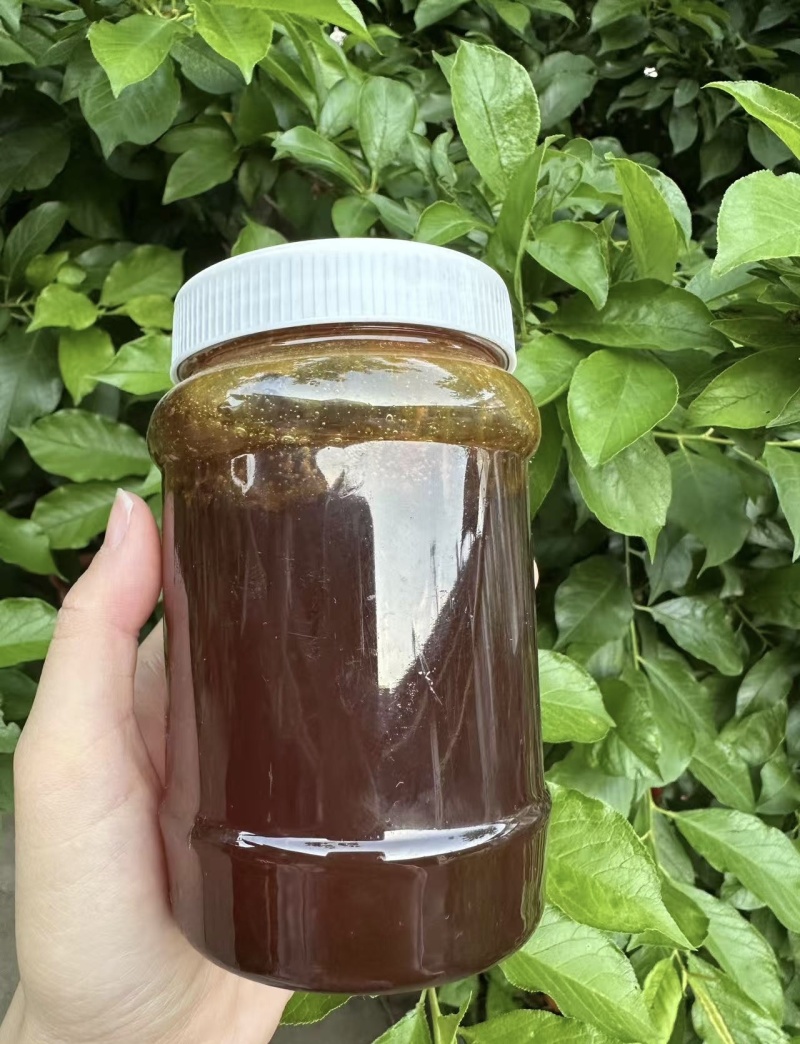 蜜蜂蜂蜜