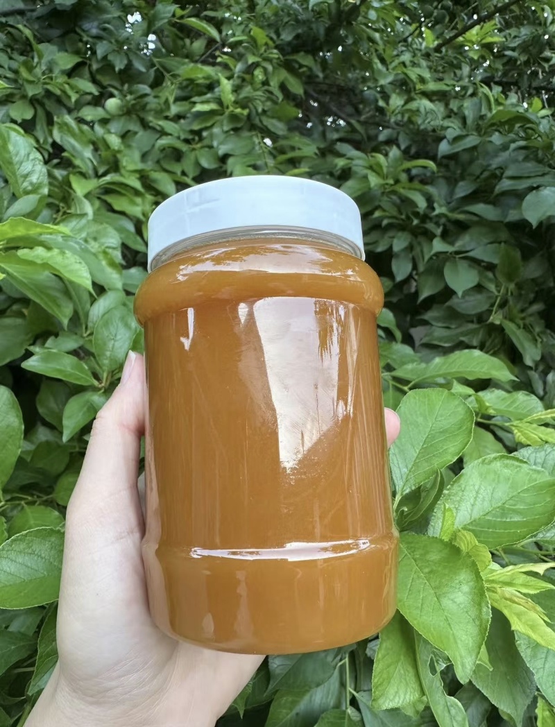 蜜蜂蜂蜜
