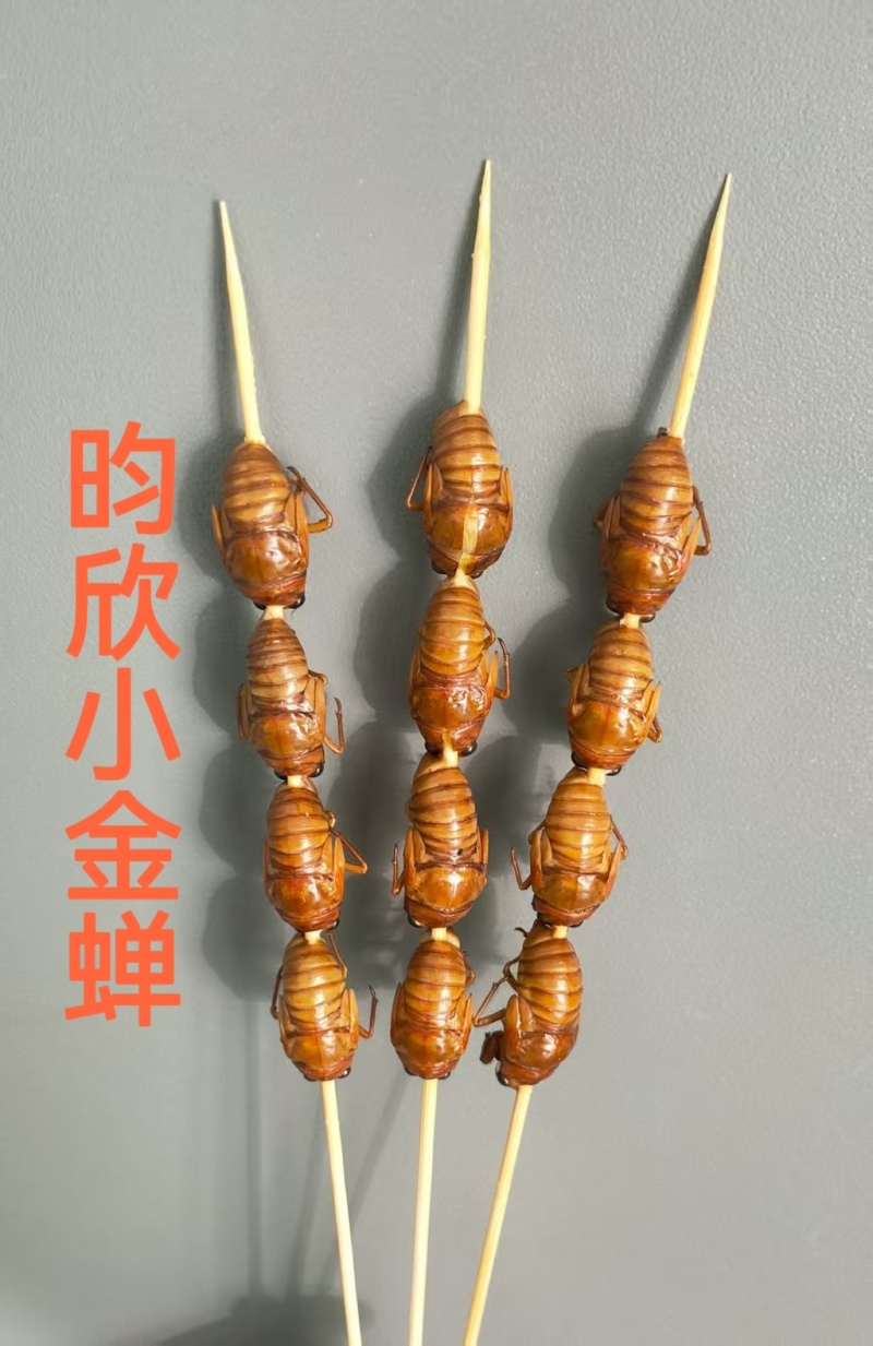 松蝉，质量好，价格低，味道酥脆！