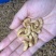鲜活大麦虫虫蛹种虫昆虫饲料个大均匀饱满