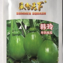 小南瓜种子韩玲蛋黄心黄肉翠色嫩南瓜甜面好吃南瓜香味浓