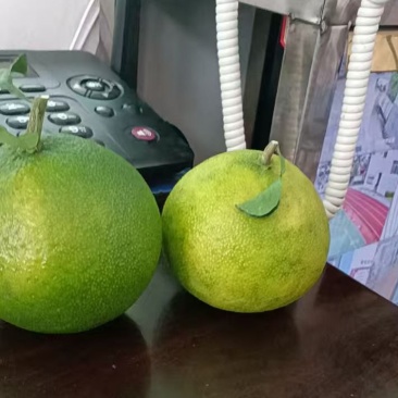 果冻橙