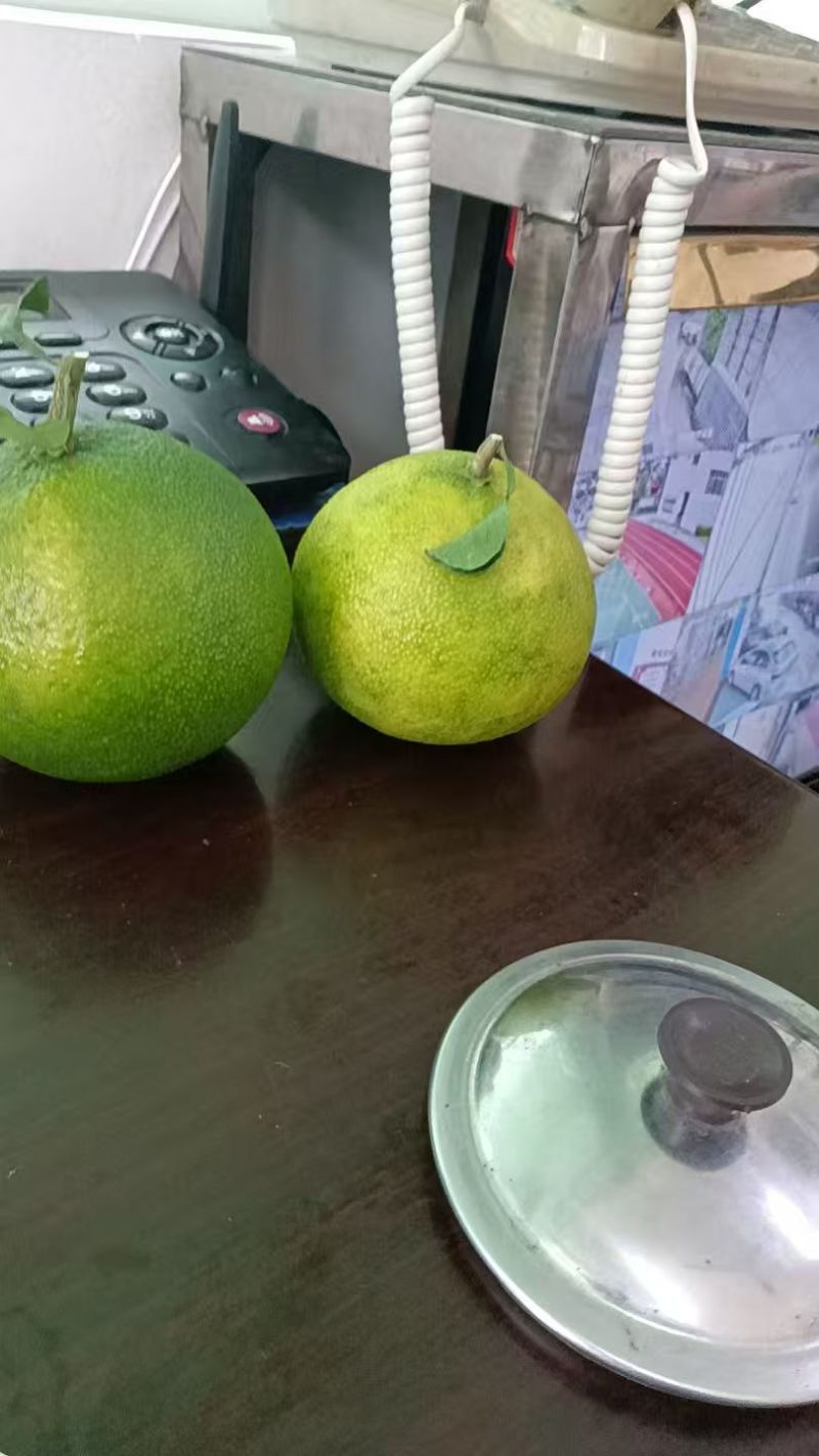 果冻橙