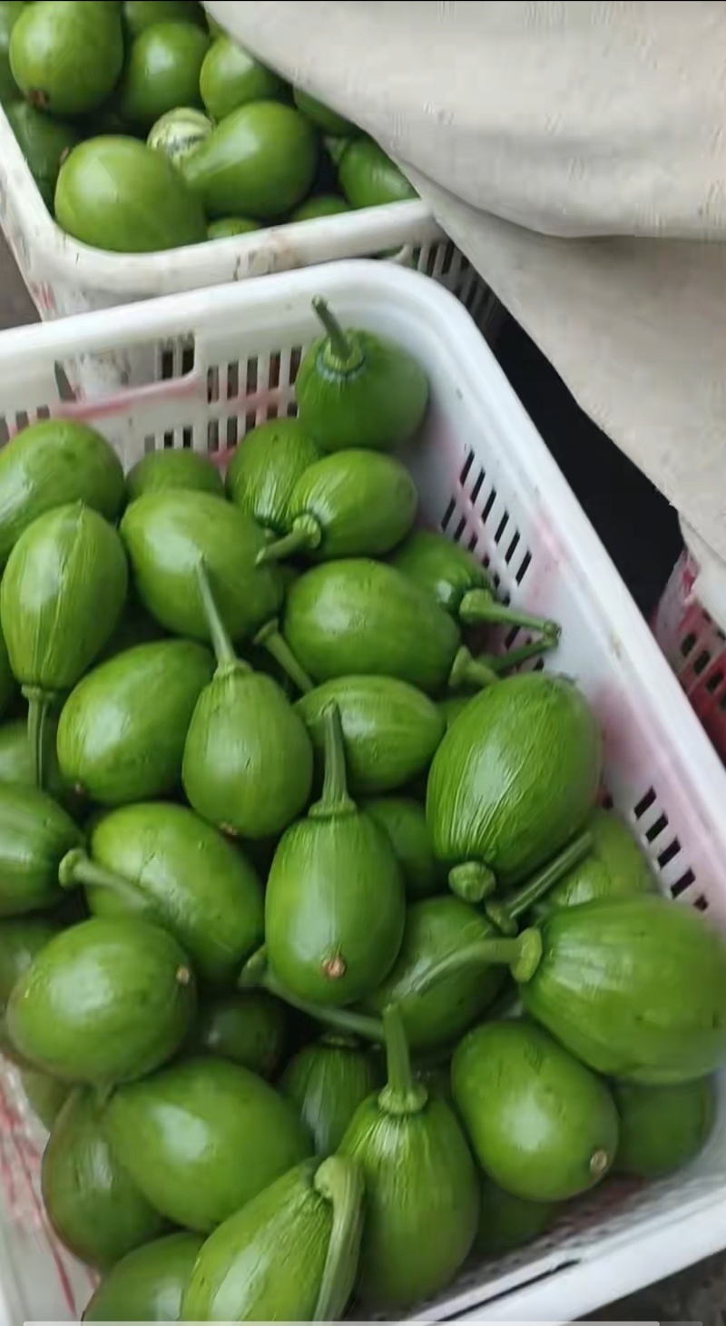小南瓜种子韩玲蛋黄心黄肉翠色嫩南瓜甜面好吃南瓜香味浓