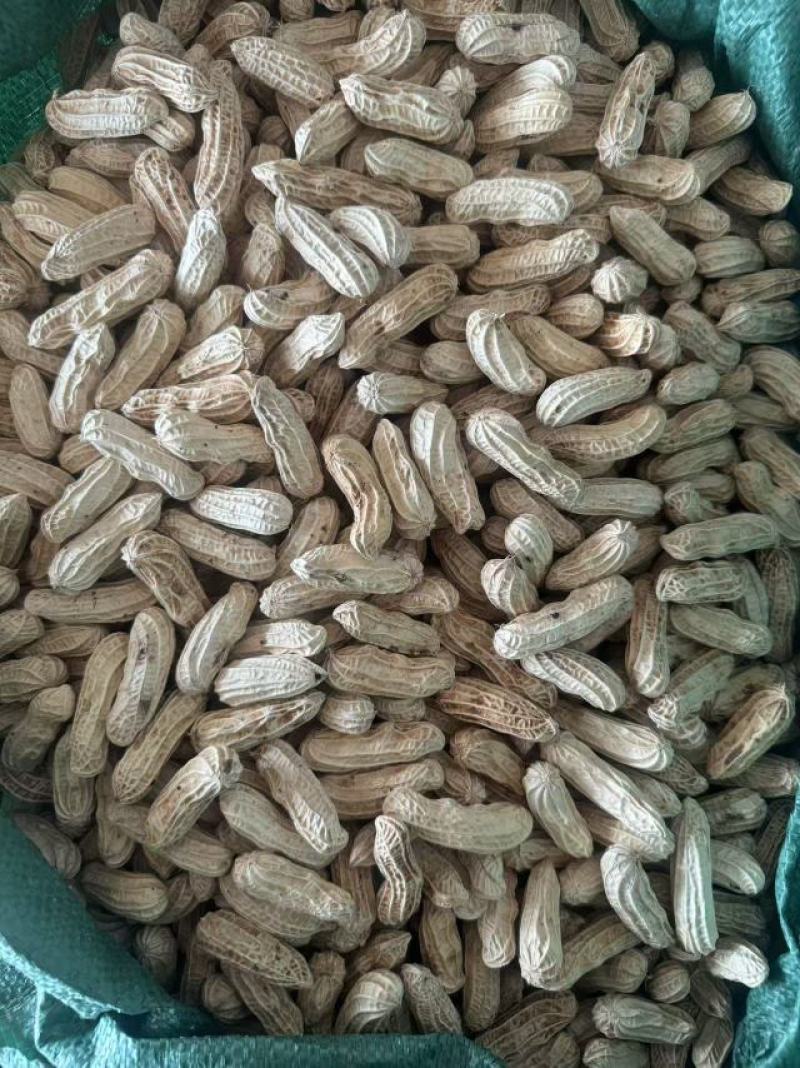 云南特产多彩花生，傣王贡品