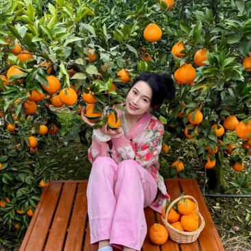 不知火丑橘，丑八怪，入口化渣，汁水充足，可产地看货