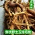 欢迎联系长期有货五指毛桃正品直供
