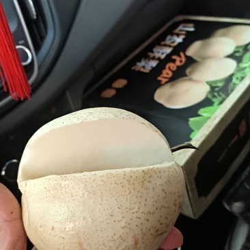 山农酥梨出售