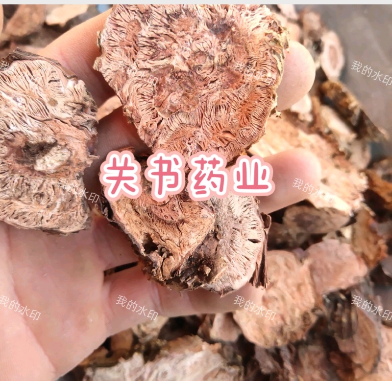红景天,半刮皮货关书药业，关书药材批发中药材