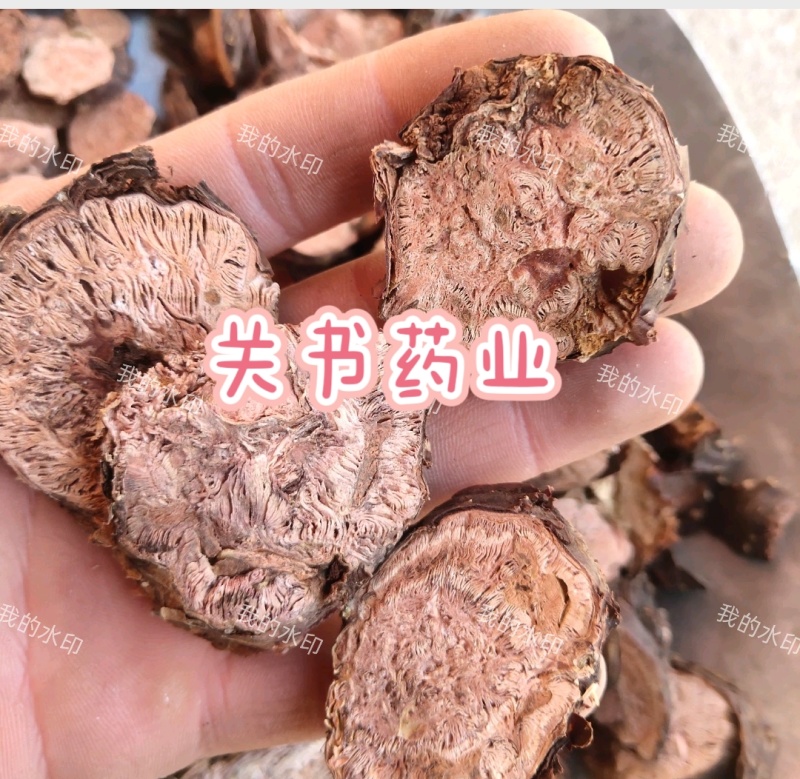 红景天,半刮皮货关书药业，关书药材批发中药材