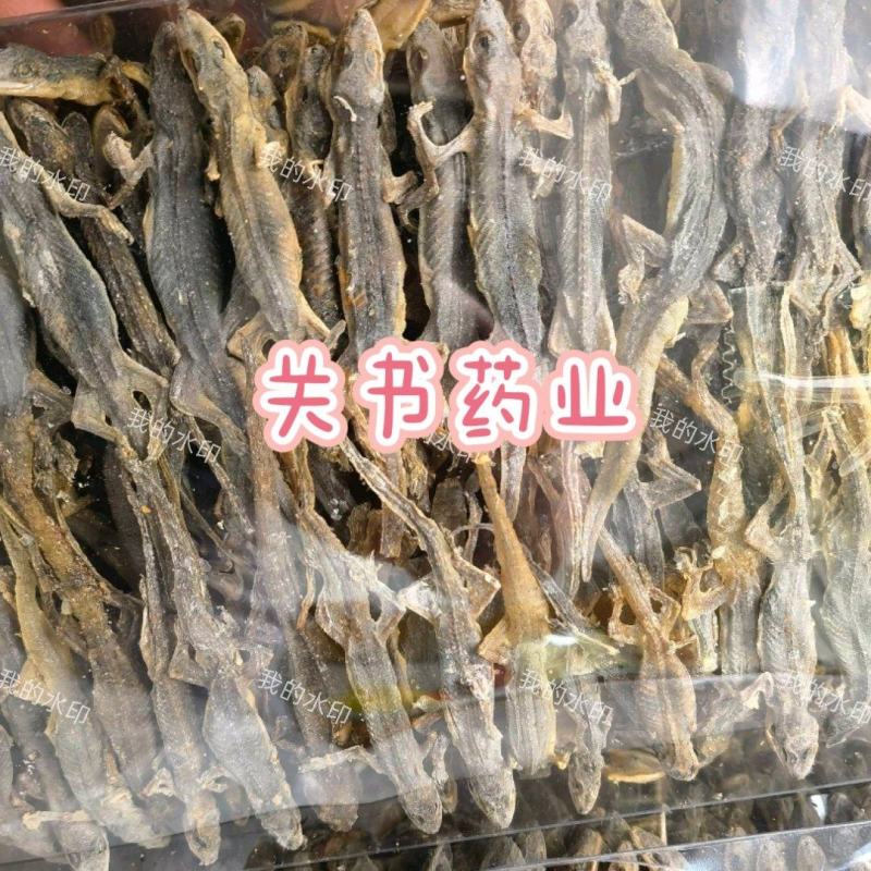 壁虎有名天龙，守宫关书药业专注品质如图所示一手货源