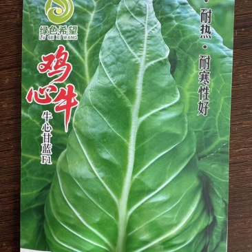 尖峰牛心甘监苗