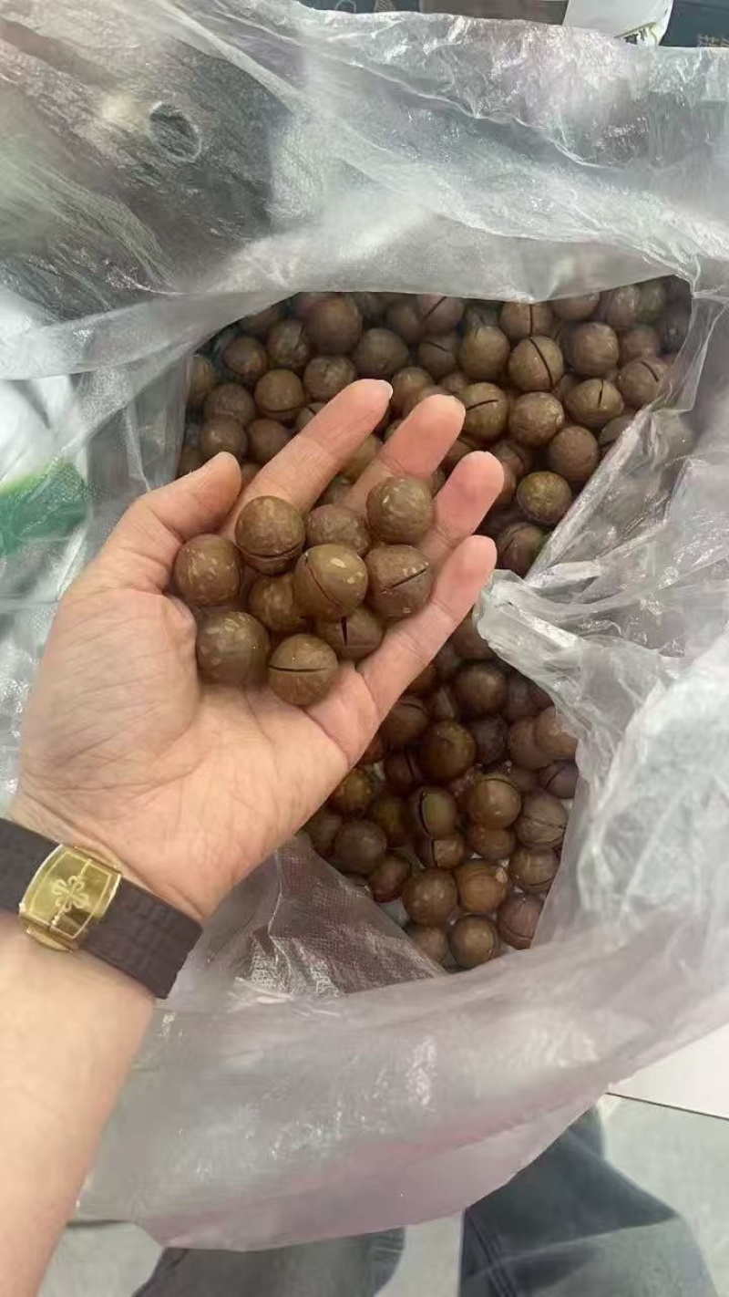 夏威夷果电商代发