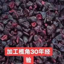 榄角山林里的咸香宝藏：一颗榄角，藏着老广的下饭魂