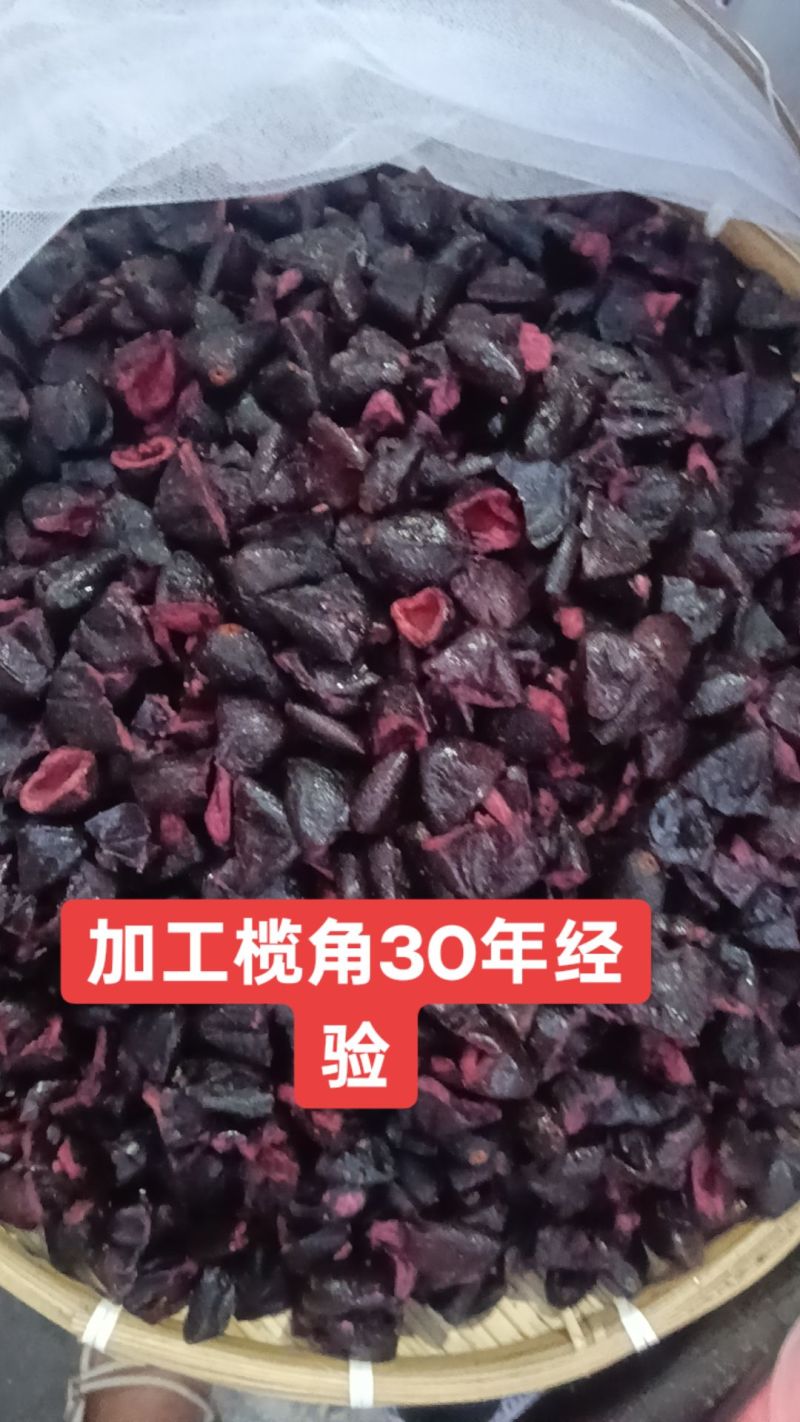 榄角山林里的咸香宝藏：一颗榄角，藏着老广的下饭魂