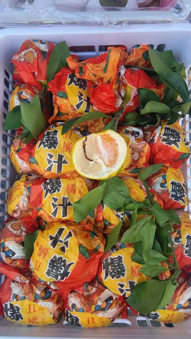 不知火丑橘大量有货保质保量皮薄多汁