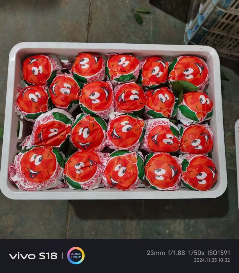 不知火丑橘大量有货保质保量皮薄多汁