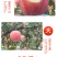山西万荣红富士苹果，优质水果成熟啦