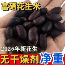 新货富硒黑皮花生黑花生纯黑生吃带壳批发黑花生种子果