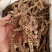地参虫草参泡酒煲汤保质保量中药材批发