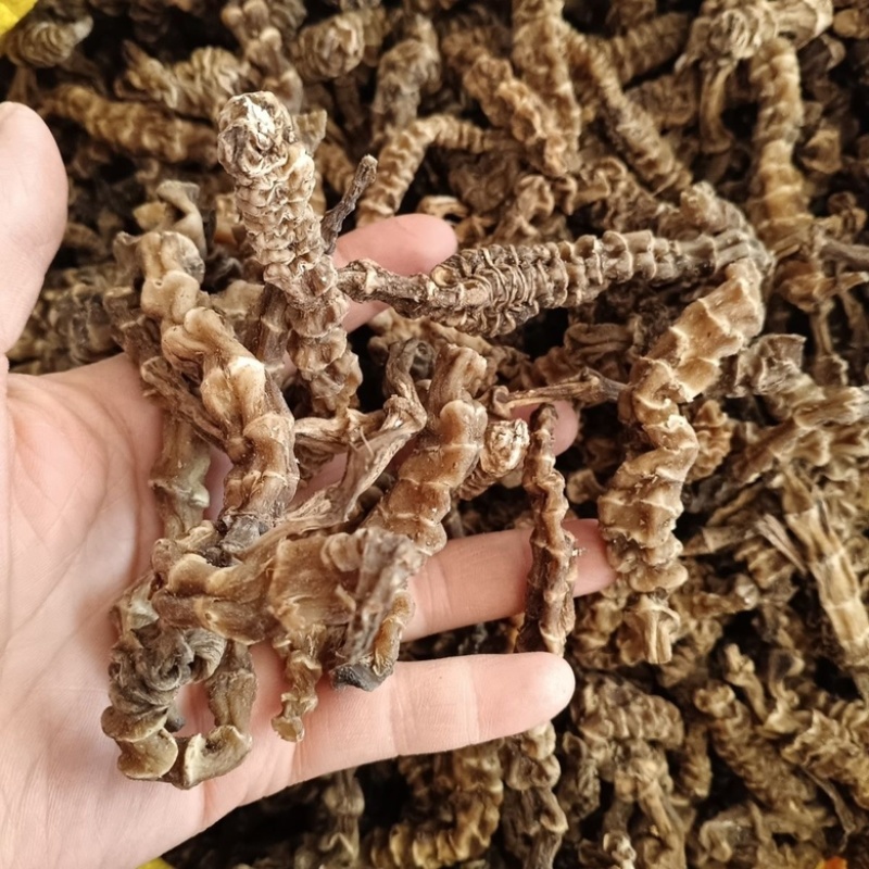 地参虫草参泡酒煲汤保质保量中药材批发