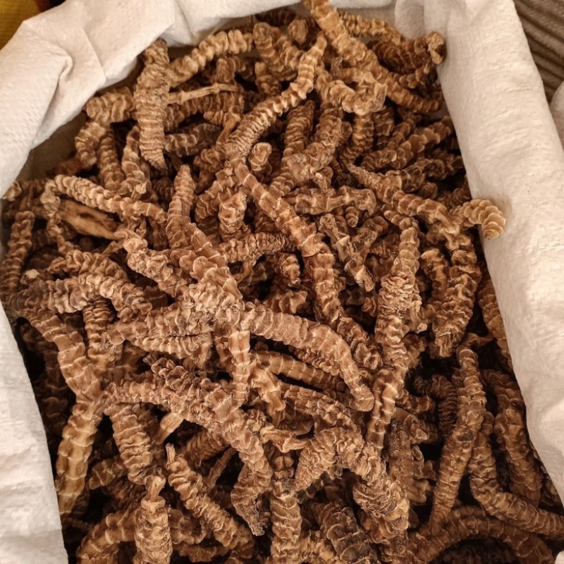 地参虫草参泡酒煲汤保质保量中药材批发