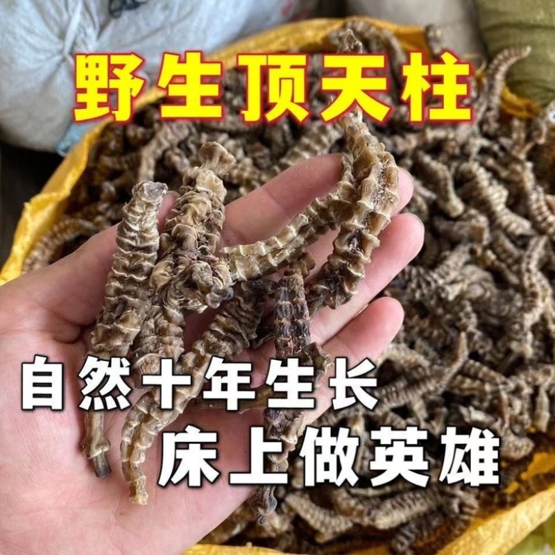 地参虫草参泡酒煲汤保质保量中药材批发