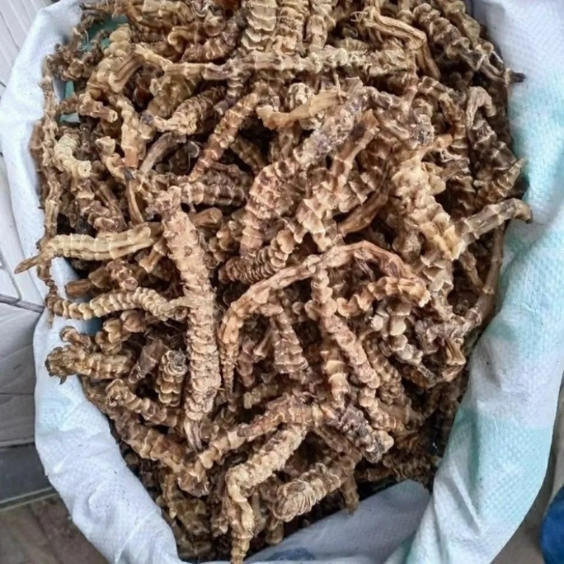 地参虫草参泡酒煲汤保质保量中药材批发