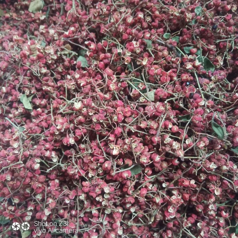 大红袍花椒