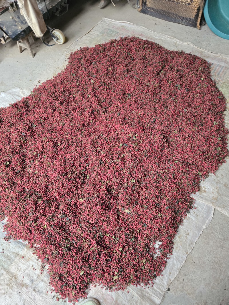 大红袍花椒