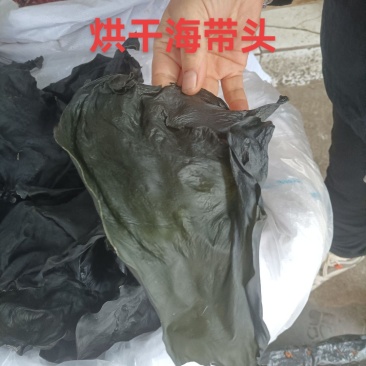 烘干海带头