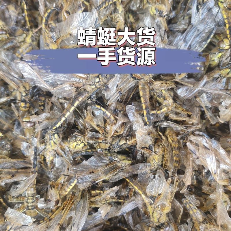 蜻蜓中药材蜻蜓绿蜻蜓正品精选中药材合作共赢