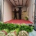 安徽皇后芹菜翠绿实心无丝产地直发对接市场电商商超