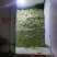 安徽皇后芹菜翠绿实心无丝产地直发对接市场电商商超
