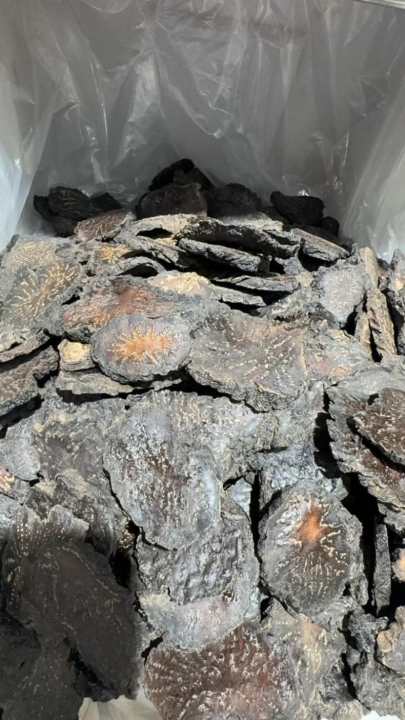 肉苁蓉新疆软质肉苁蓉片大芸一件代发批发零售