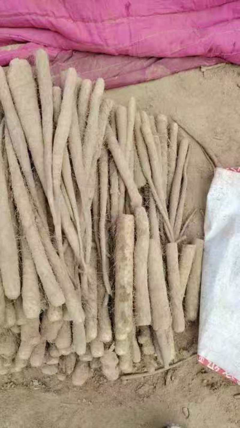 山药大量上市中，质优价美，一路，二路，三路，货优价美