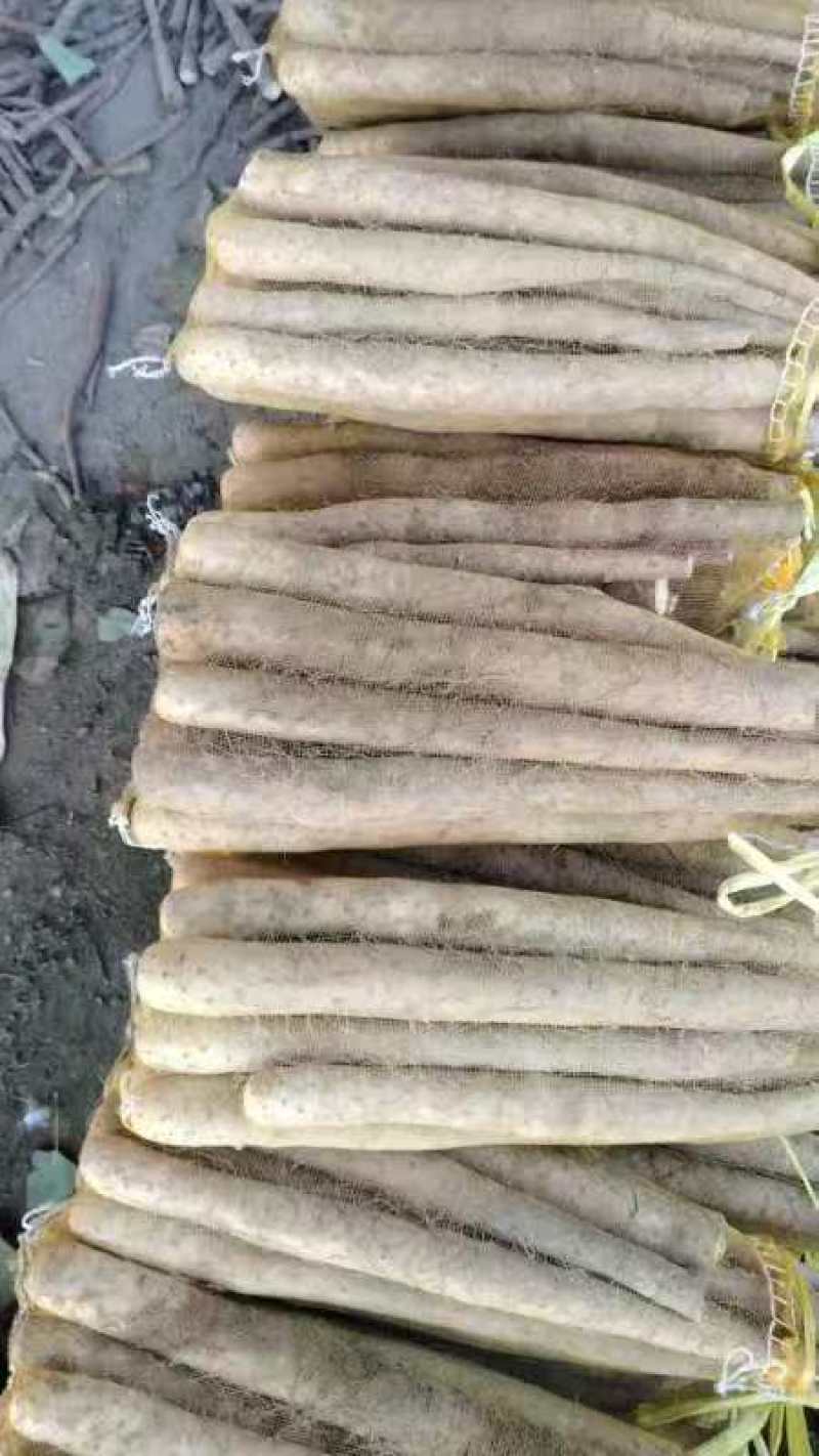山药大量上市中，质优价美，一路，二路，三路，货优价美