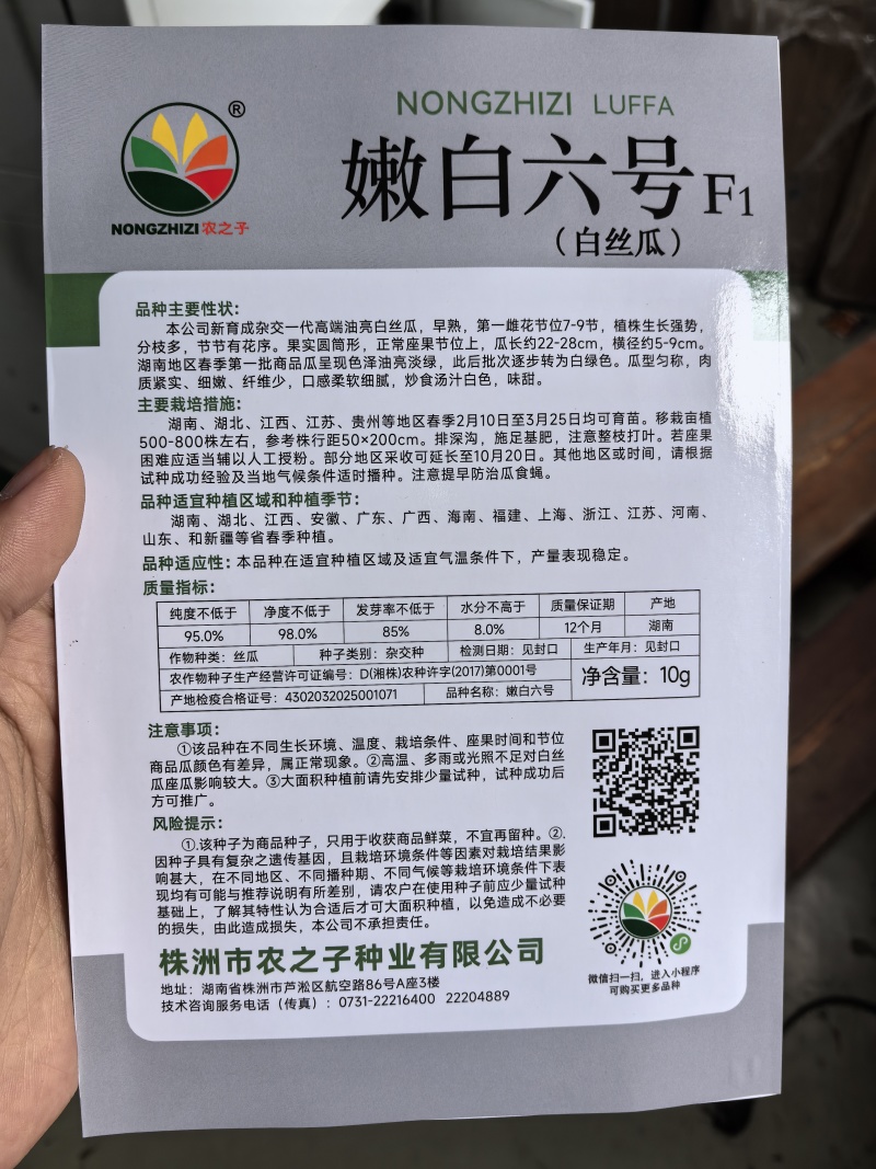 丝瓜种子嫩白六号早熟强雌绿白色亮顺直硬度好品质优高产