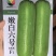 丝瓜种子嫩白六号早熟强雌绿白色亮顺直硬度好品质优高产