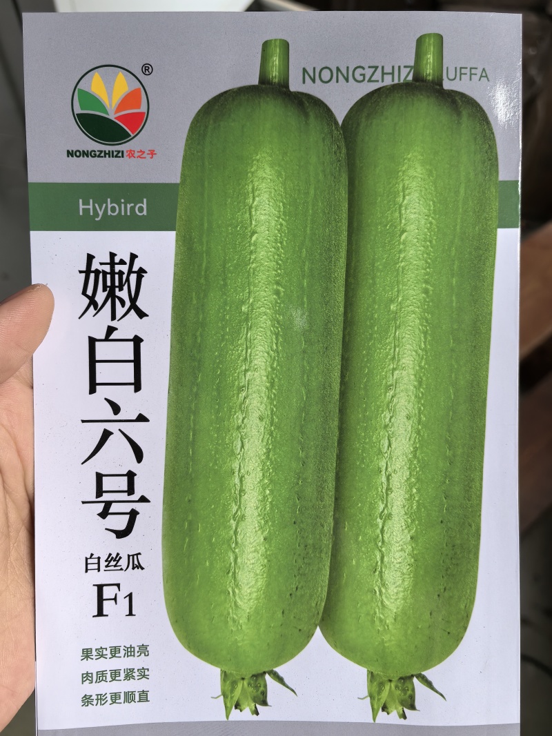 丝瓜种子嫩白六号早熟强雌绿白色亮顺直硬度好品质优高产