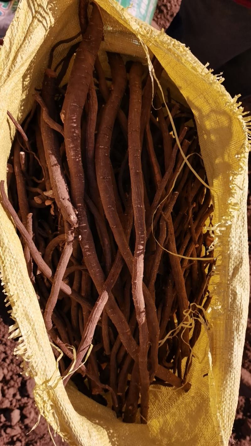6年生杂花赤芍，干货15-17吨，25年新货！