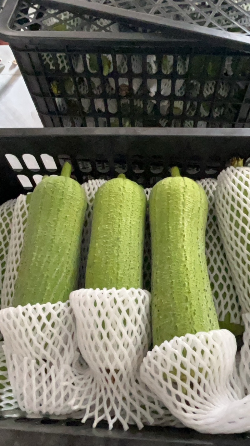 台湾肉丝瓜