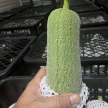 台湾肉丝瓜